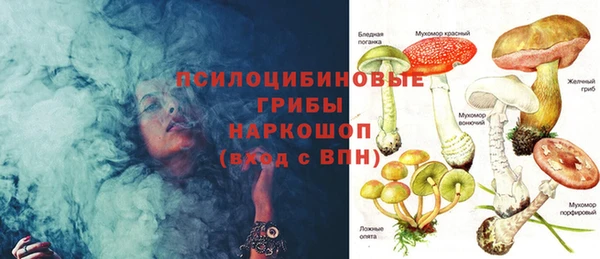 шишки Володарск