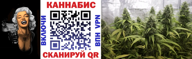 Бошки Шишки гибрид  Ялта 